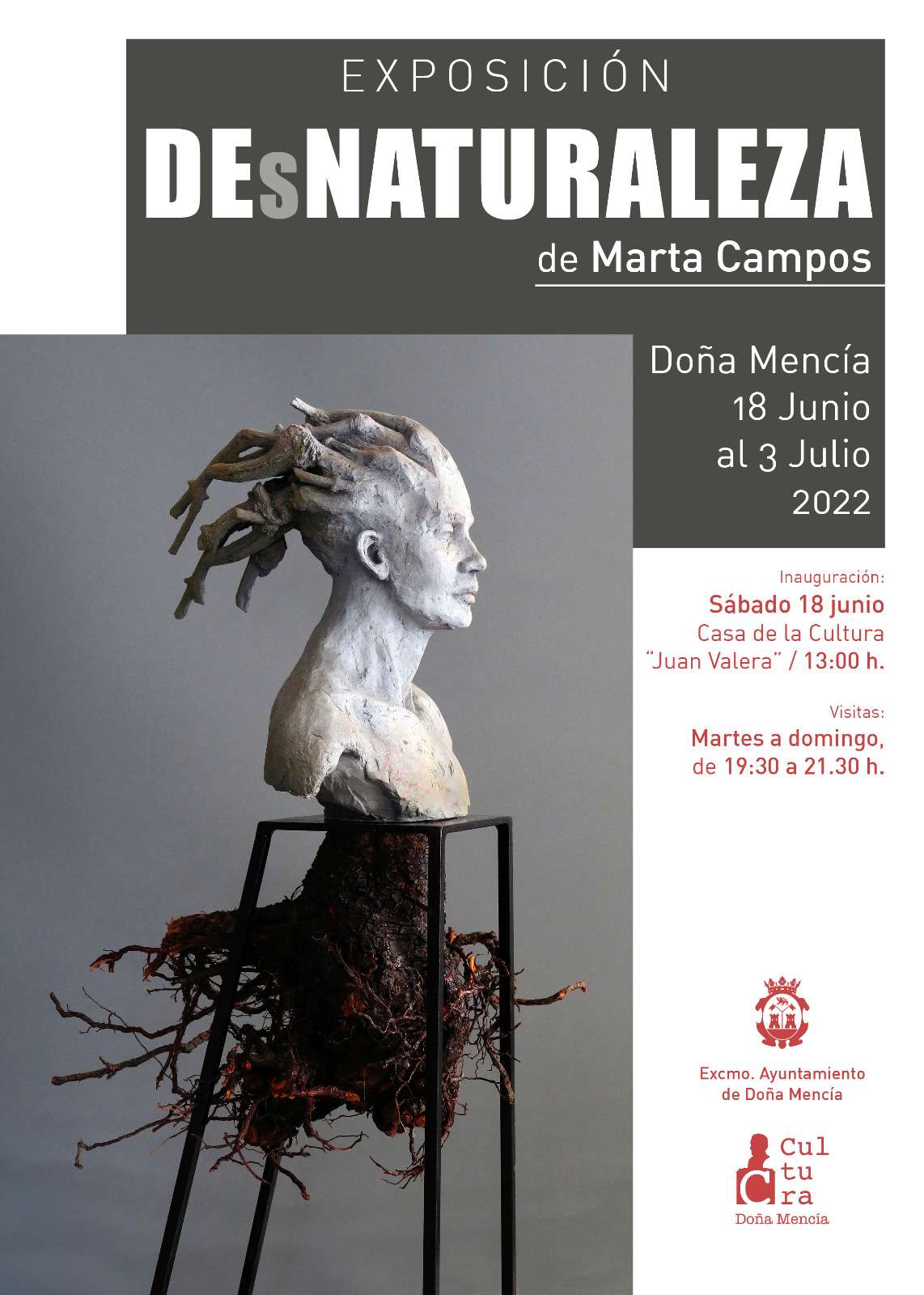 Exposición DesNaturaleza de Marta Campos