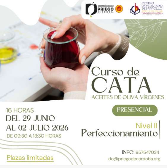 CURSO DE CATA ACEITES DE OLIVA VÍRGENES - Priego de Córdoba
