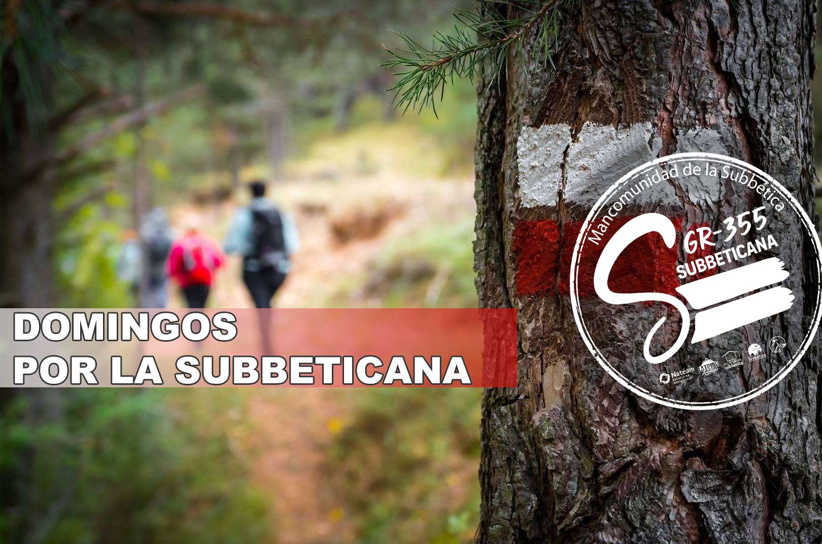 DOMINGOS POR LA SUBBETICANA (excursiones por etapas todos los domingos) - Subbética
