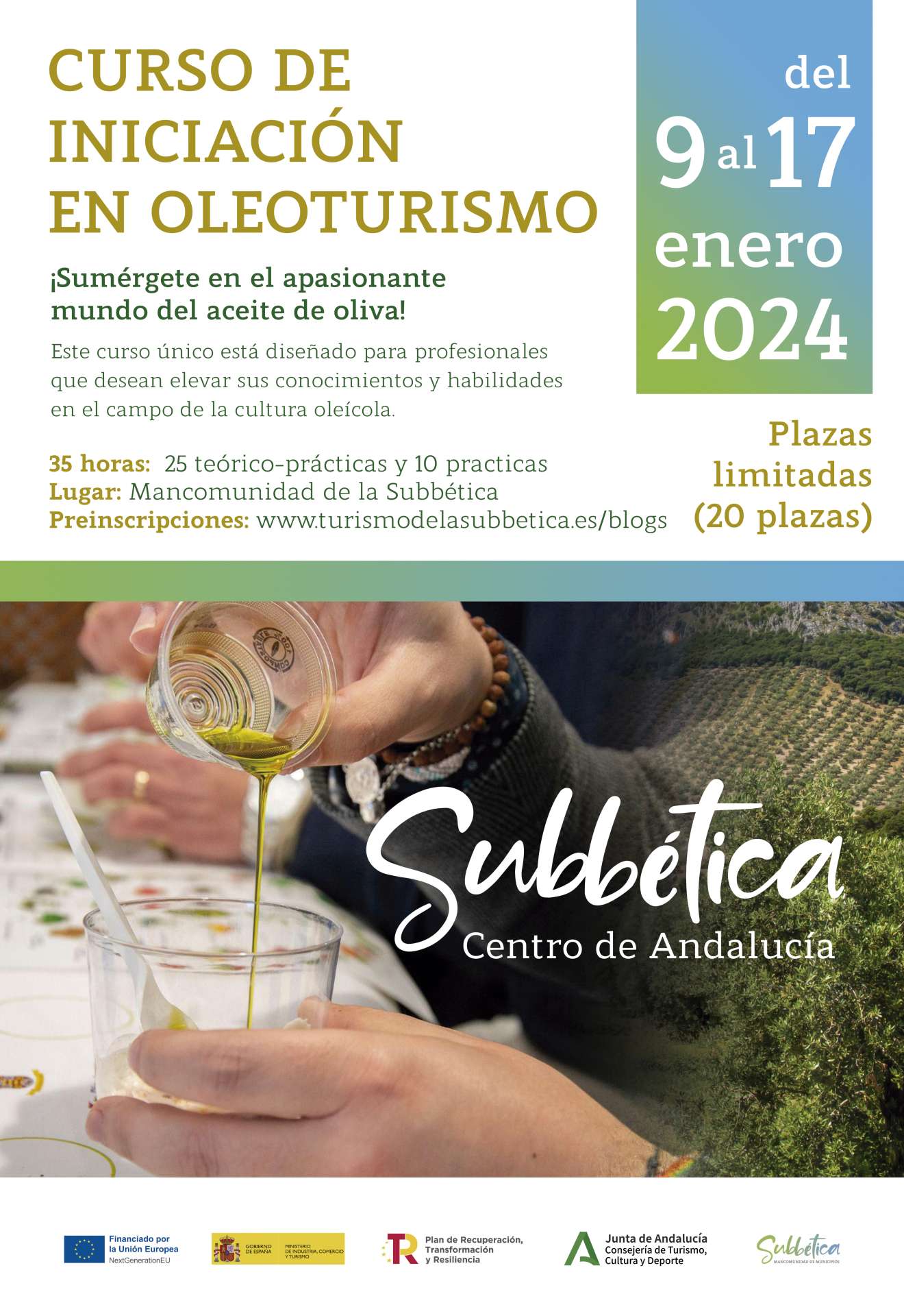 CURSO DE INICIACIÓN AL OLEOTURISMO: Sumérgete en la Cultura del Aceite de Oliva
