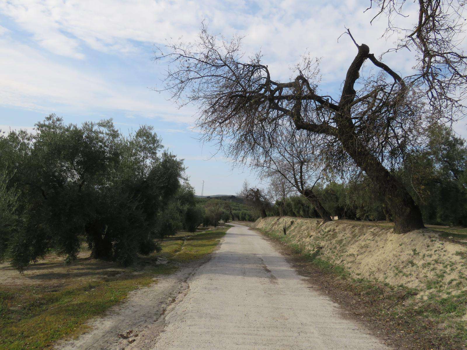 GR 355 Ruta Subbeticana. ETAPA 10: Cabra - Lucena - Subbética