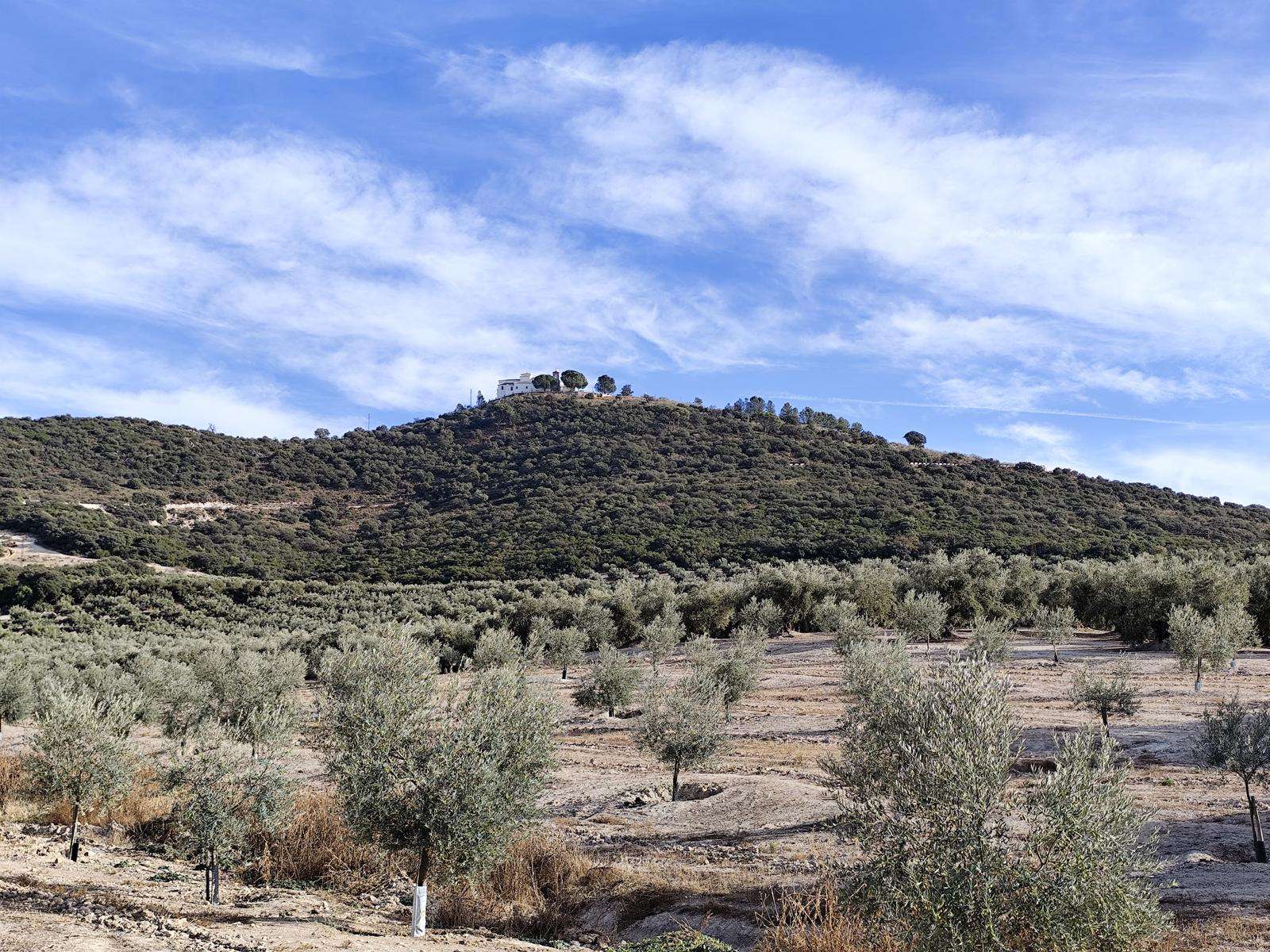 Sierra de Araceli - Lucena