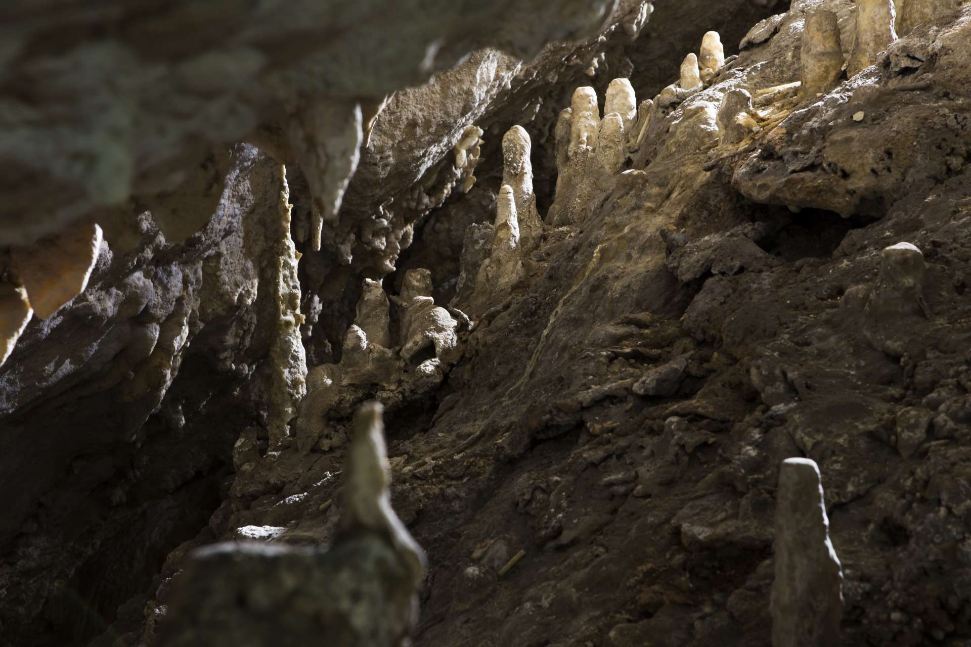 Grotte des Chauves-souris.