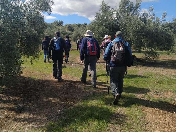 SL-A 396 Sendero Olivo Viejo del Baldío - Fuente Tójar