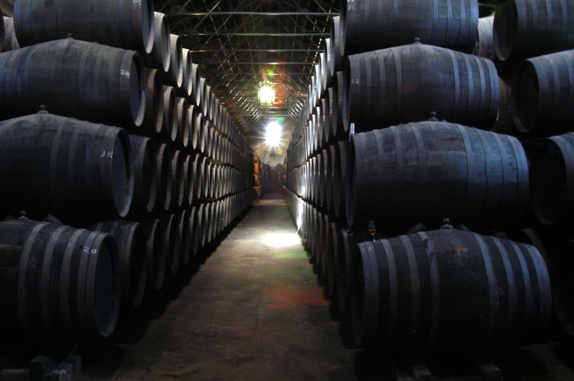 Torres Burgos Wineries