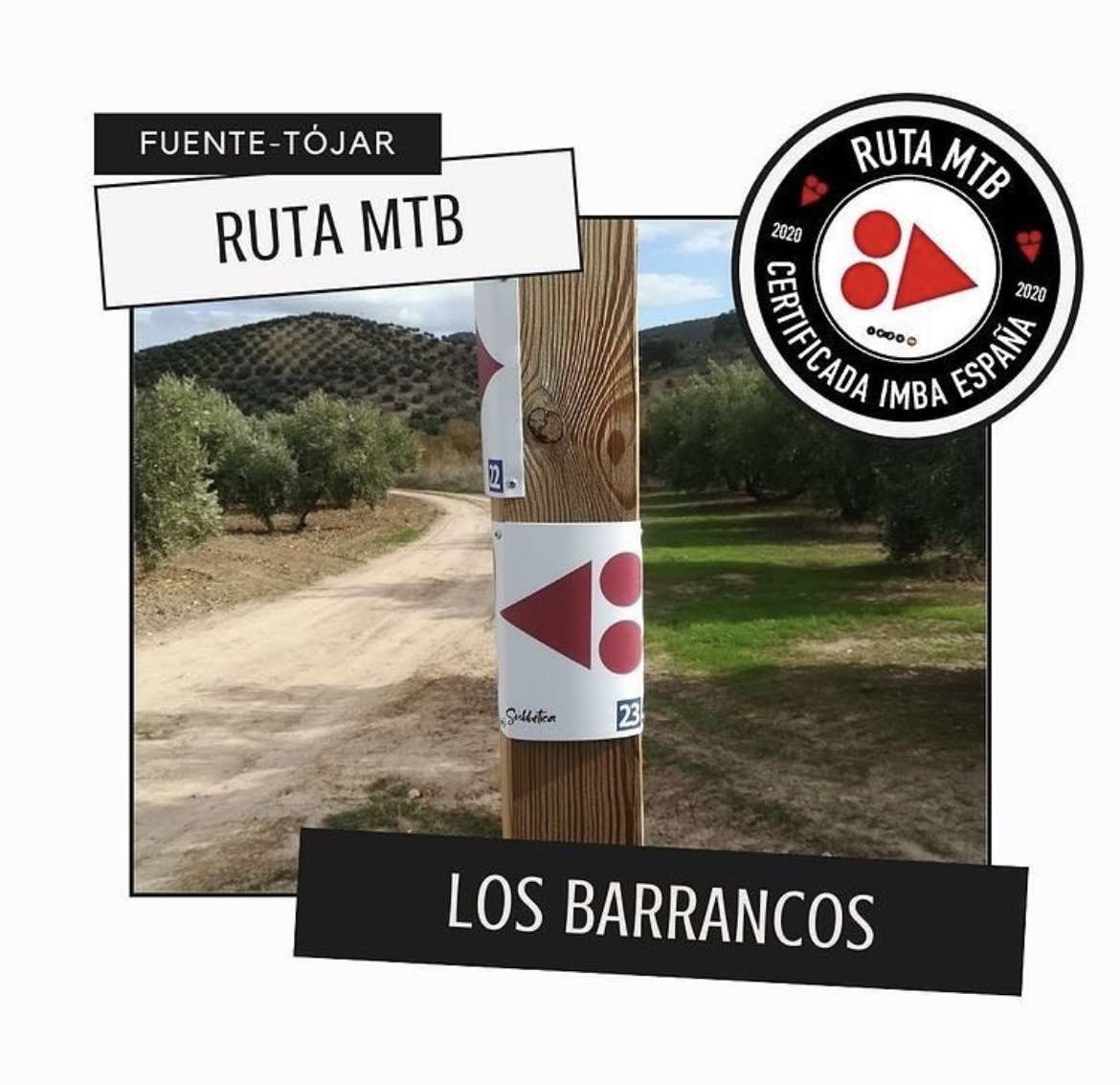 MTB-Strecke durch Los Barrancos 