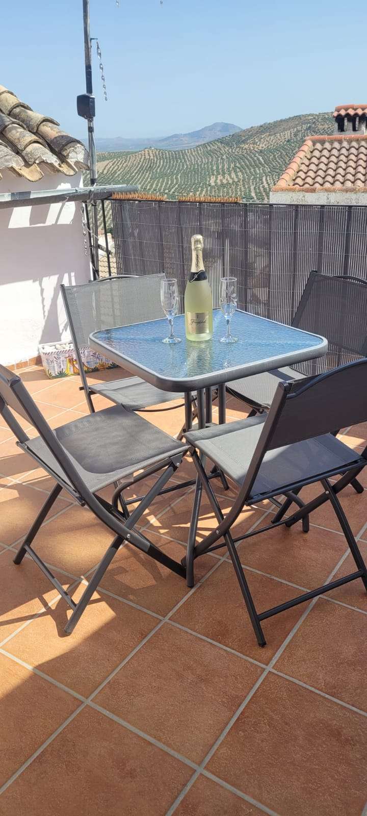 VTAR CASA CACTUS