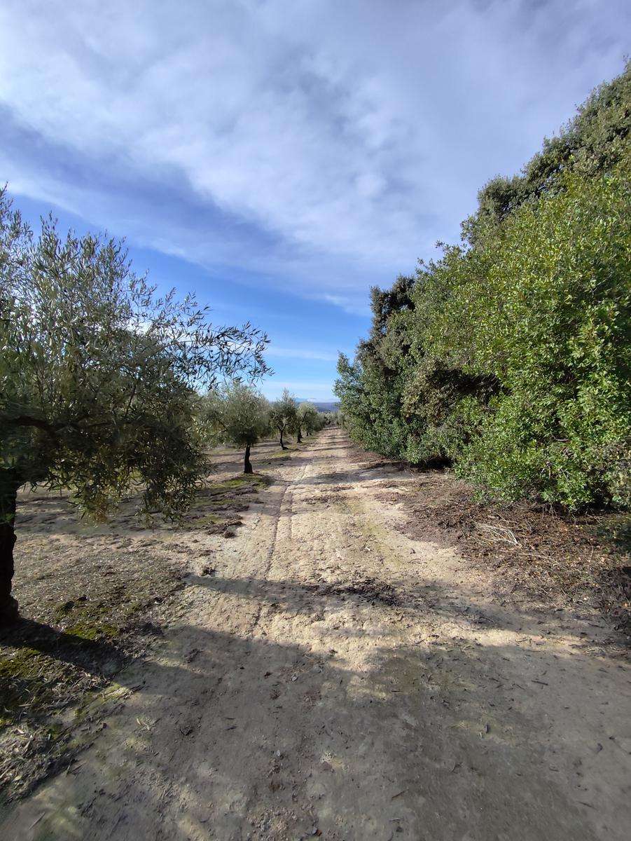PR-A 526 Cerro Quintana - Lucena