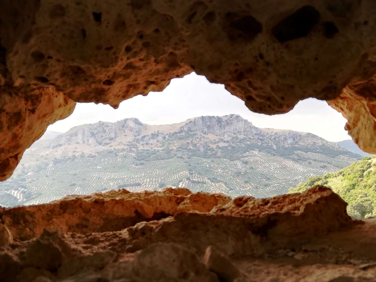 Sendero del Castillo de Algar