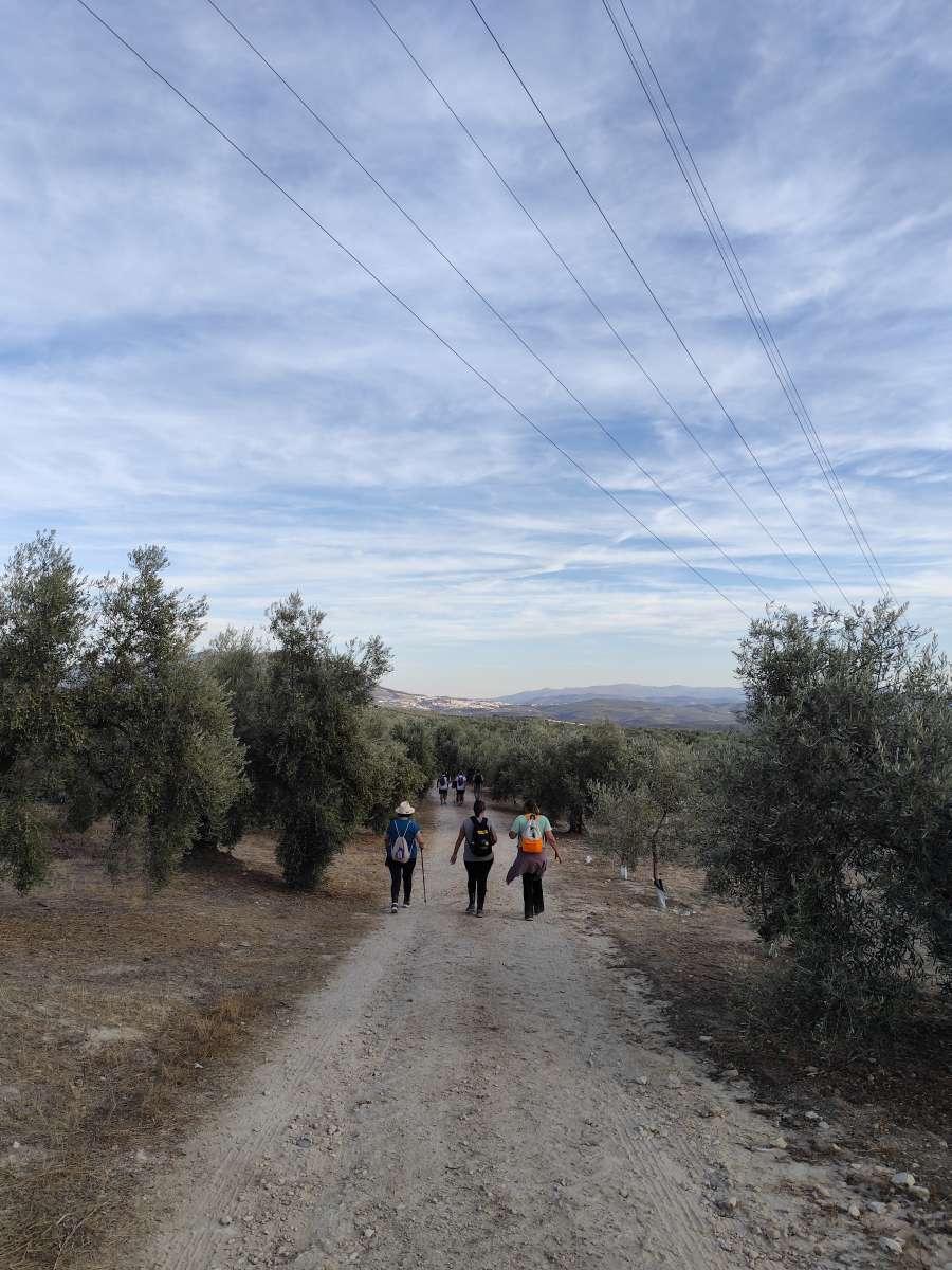 Sendero Sierra de Aras - Lucena
