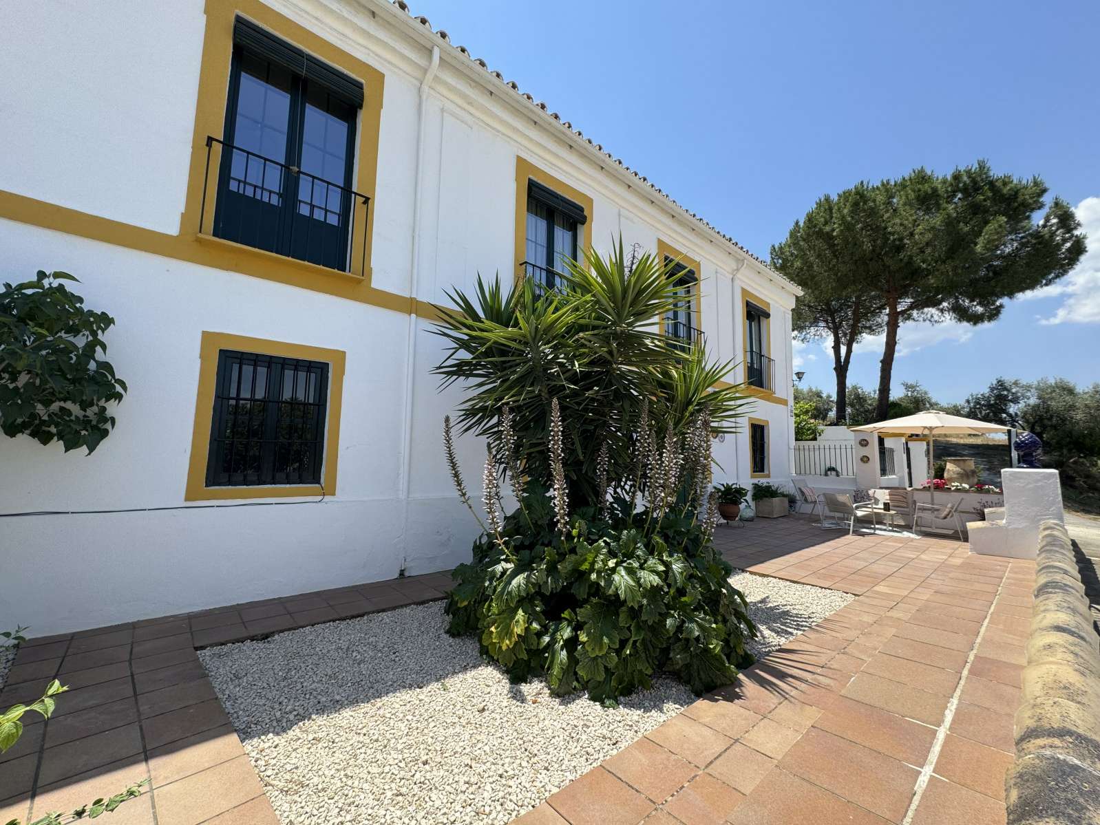 Casa Rural Cenascuras - Priego de Córdoba