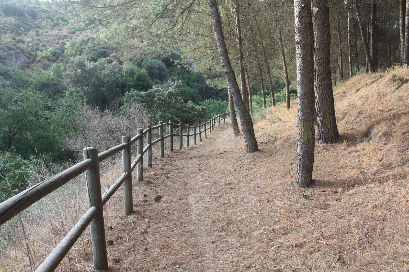 PR-A 008 Sendero Arroyo de las Cañas - Palenciana