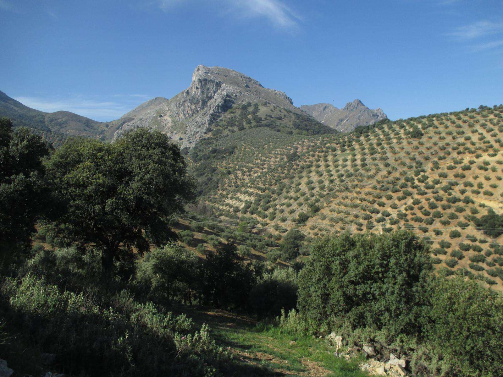 Sendero PR-A 508 Navasequilla - Priego de Córdoba