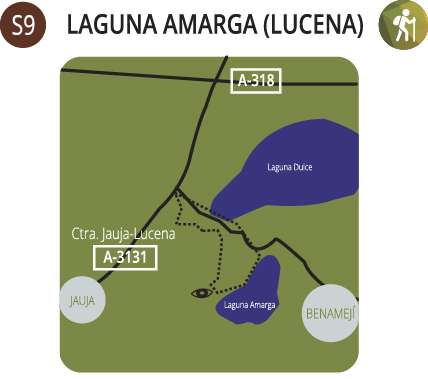 Bitter Laguna (Lucena). 