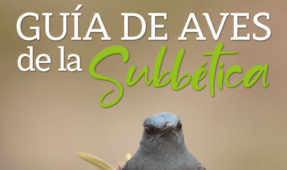 Guía Aves de la Subbética 2025