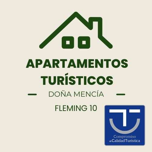 Apartamentos Fleming, 10