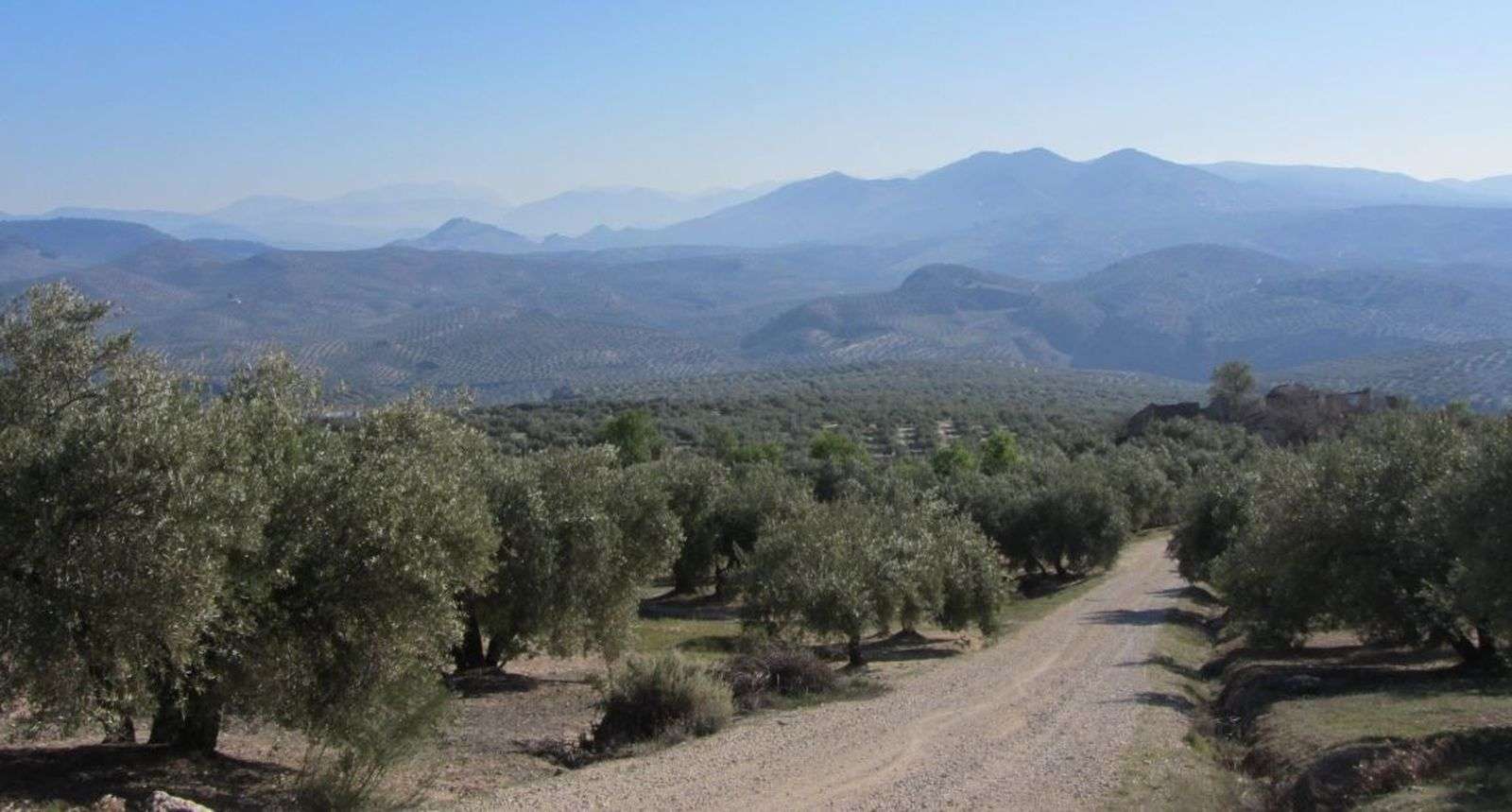 Ruta MTB Sendero Los Barrancos - Fuente Tójar