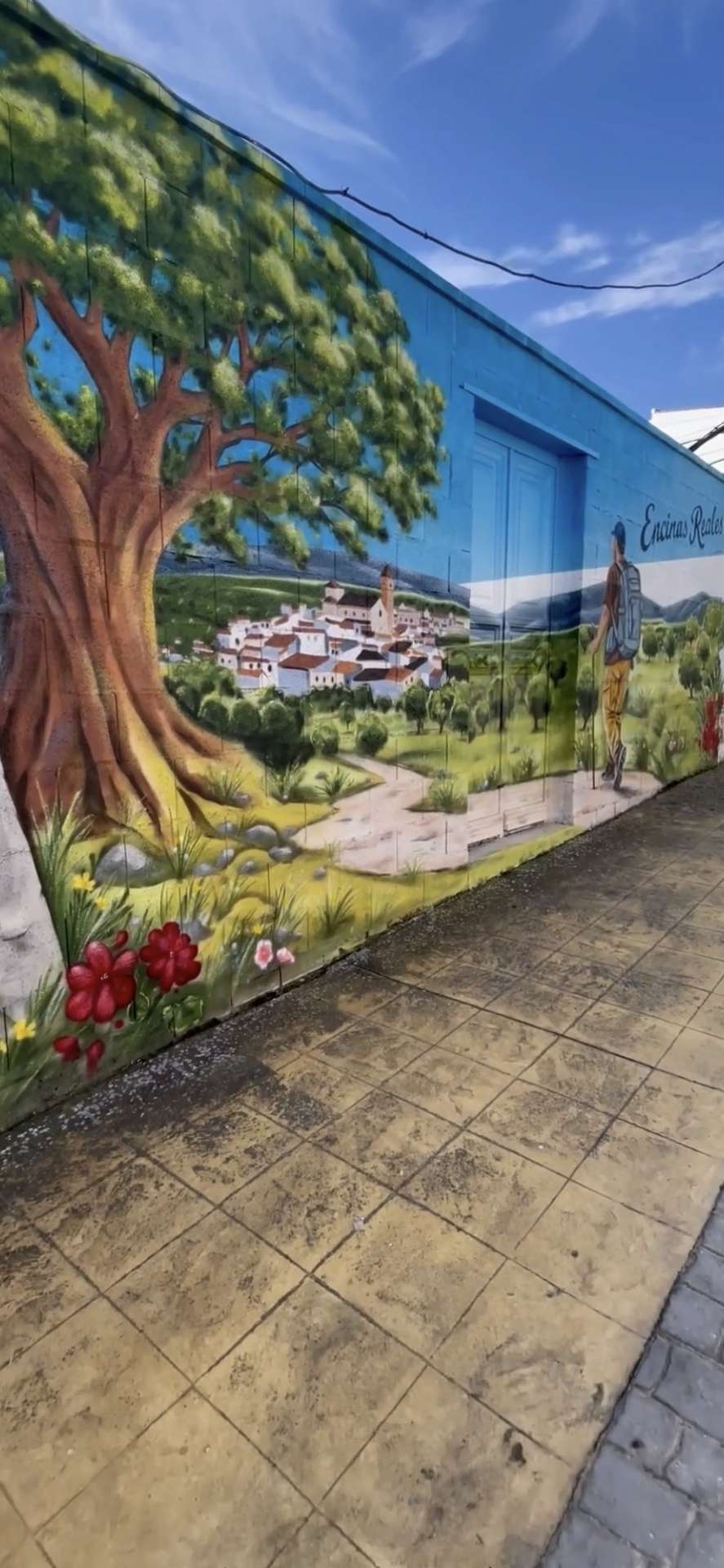 Between Olive Trees and Pilgrims: The Mozarabic Way