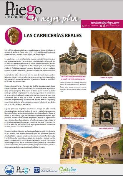 Castillo y Carnicerías Reales (español)