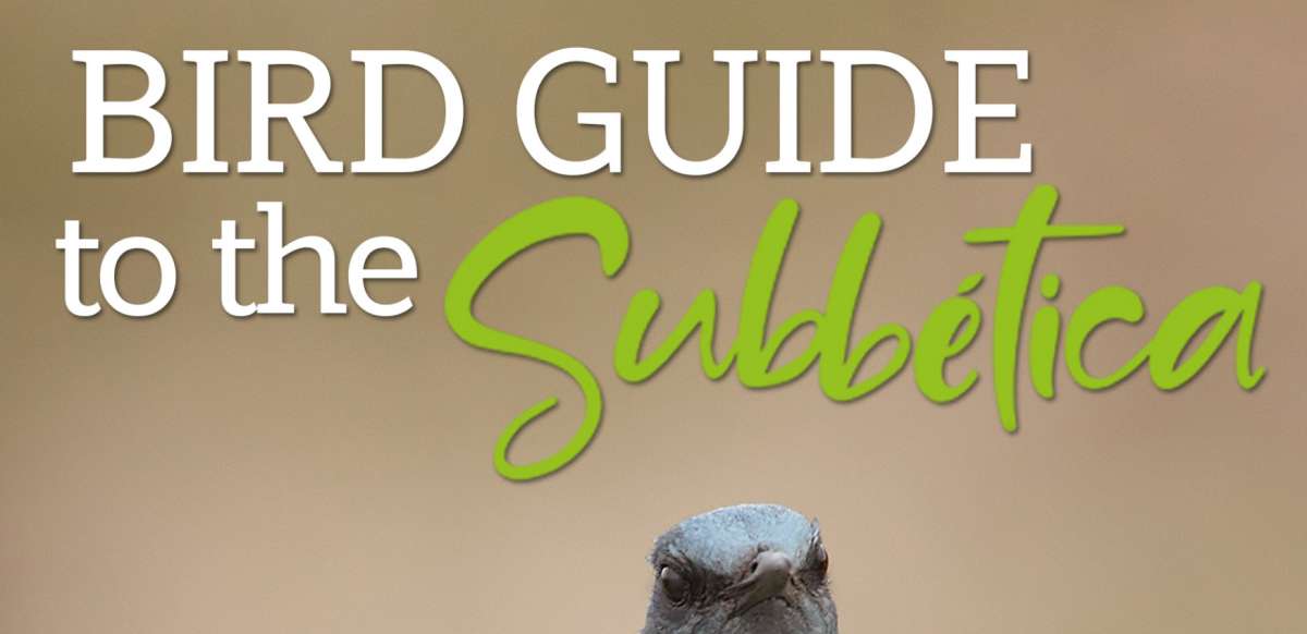 Guía Aves de la Subbética 2025 ENG